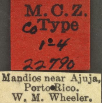 Media type: image; Entomology 22790   Aspect: labels